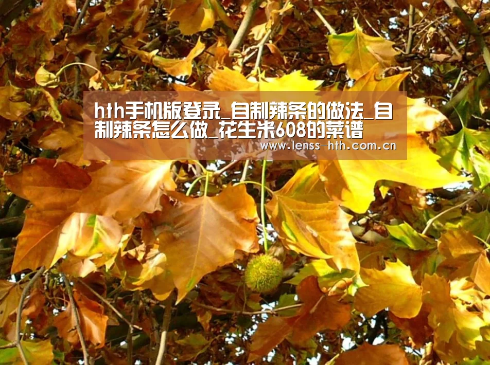 hth手机版登录_自制辣条的做法_自制辣条怎么做_花生米60