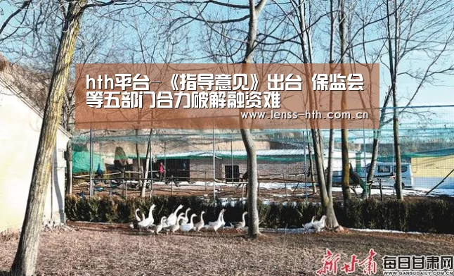 hth手机版登录